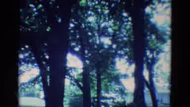 Diller Nebraska (1969): A Beautiful Field With Trees And Blossomed Crops On A