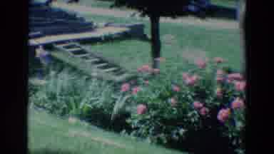 Diller Nebraska (1969): Pink Flowers Grass Yellow House Yard Plant Stairs Trees