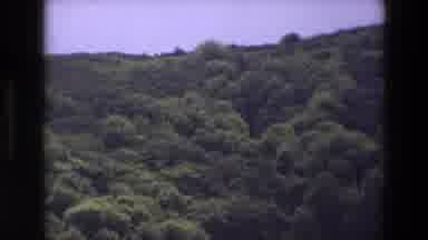 England-1969: Partly Cloudy Day With Trees And Blue Skies In The Background
