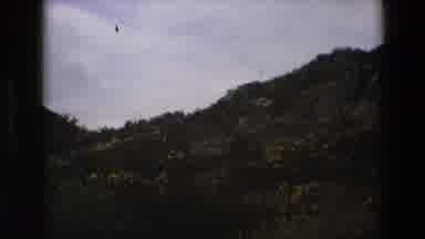 England-1969: A Hillside With Yellow Gorse Flowers And Rocky Terrain