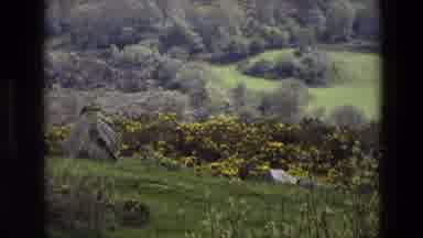 England (1969): Come See The Greenery For Yourself But Be Aware Of The Pollination