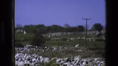 England (1969): Cows Relaxing On A Plane Near A Few Rocks And A Bird