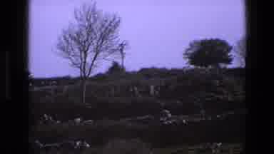 England (1969): Hillside With Deciduous Trees Amidst A Lilac Sky Sparse Clouds And
