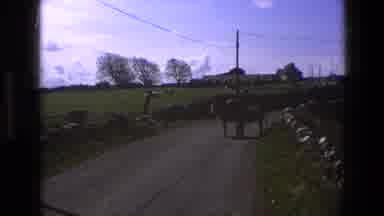 England (1969): Animal Crossing Street