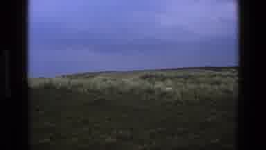 England (1969): A Sheep Roaming Around In The Grassland