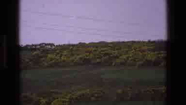 England (1969): Grass Rocks House Field Trees Plants Flowers Clouds Branches Fence