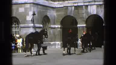 England (1969): Horses Walking Into Their Place Of Stay