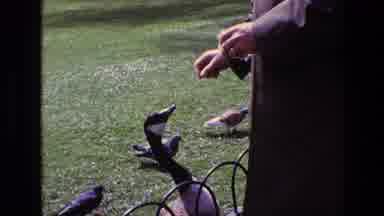 Ireland (1969): Goose Food Woman On A Sunny Day In The Park Bringing A Lot Of Joy