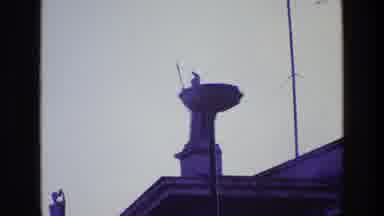 Ireland (1969): Statue Of A Guardian Sitting On Top Of A Large Pillar With A Base