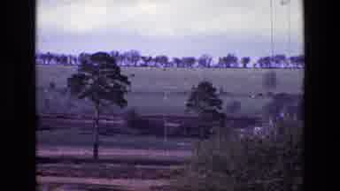 Ireland (1969): Agriculture Land With Trees Surrounded Showing Greenish