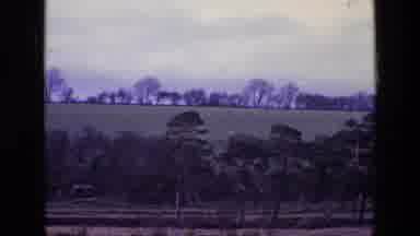 Ireland (1969): Rural Area With Trees Next To What Appears To Be A Highway