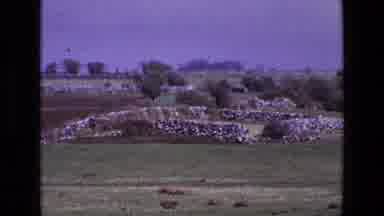 Ireland (1969): Stone Walls Across Green Field With Opening On One Side