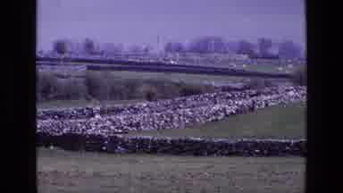 Ireland (1969): Old Walls Blending With A Beautiful Landscape