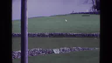 Ireland (1969): Green Grass With The Blue Sky And Trees In The Background