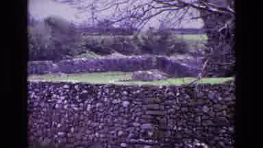 Ireland (1969): Stone Wall In The Middle Of Nature