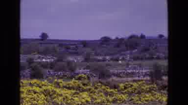 Ireland (1969): Video Of Greenland