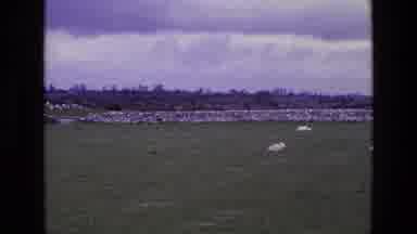 Ireland (1969): A Large Field With Some Grass Outside