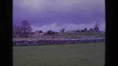 Ireland (1969): Sheep Keep The Lawn Trim With Cemetery Monuments In The Background
