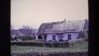 Ireland (1969): Sheepdog Jumping On Stone Fence By English Country Cottage Garden