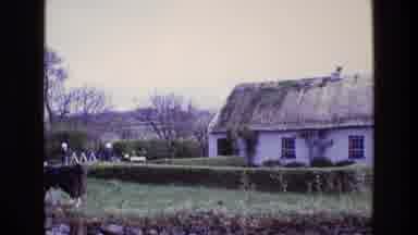 Ireland (1969): The Alpaca Or Llama Walks Around The Yard Of The House From Behind