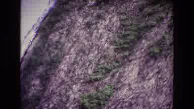 Ireland (1969): Shaky Video Of Bushes Growing From A Hillside Far Away