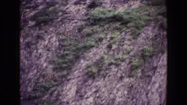 Ireland (1969): Side Of A Cliff With Some Greenery