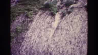 Ireland (1969): Towering White Rocky Hillside Trees Sparsely Covering Growth