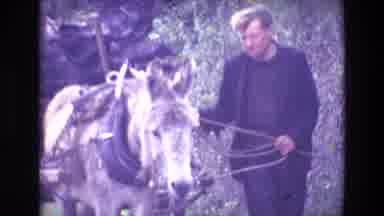Ireland (1969): Man And Donkey Walking His Belongings And Family Down Road