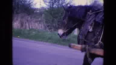 Ireland (1969): Mule Pulling A Man On A Cart Along The Road Carrying Barrels