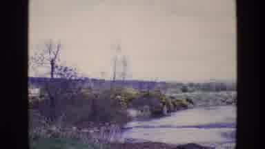 Ireland (1969): Small Body Of Water With Nature Surrounding It Like Trees Plants