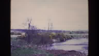Ireland (1969): View Of Riverbank Shrubbery Adjacent To A Shallow River In A