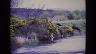 Ireland (1969): A Man Fishing In The Pond