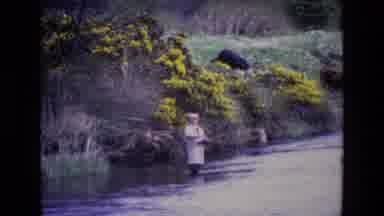 Ireland (1969): Man Fishing While Standing In Shallow Part Of A River