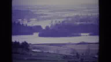 Ireland (1969): A River Area With Water And Ground And Trees In The Nature
