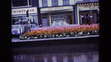 Ireland (1969): A Group Of Men Walking Around Beautiful Flowers Not Paying