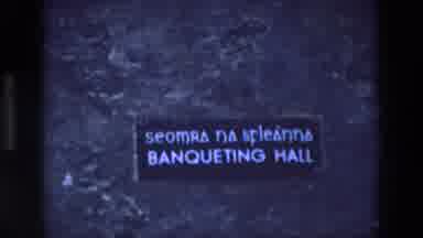 Ireland (1969): Multilingual Signs On Trees Tell People About Family Room