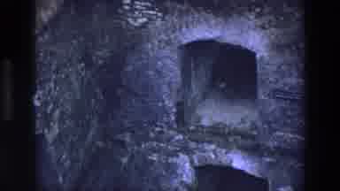 Ireland (1969): A View Of A Wooded Tunnel