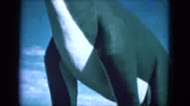 Lake Canyon Arizona (1969): Footage Of Mysterious Animal Outdoor With Old Film And