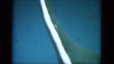 Lake Canyon Arizona-1969: Look A Like A Big Dinosaur Green And White