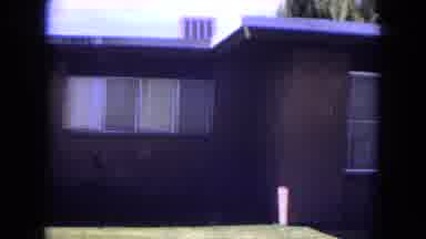 White Sands Florida (1970): In The Summer I Do The Maintenance Of My Home Garden