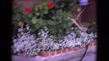 White Sands Florida (1970): Two Views Of Holiday Decorations And A Blooming Flower
