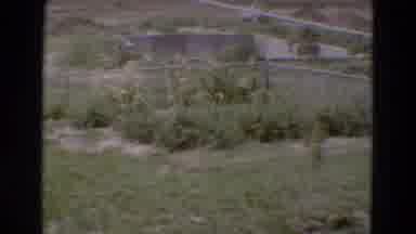 Diller Nebraska USA (1968): Wildlife Is Missing