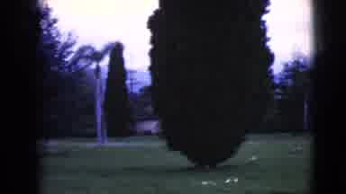 Clarksdale Arizona (1968): A Cemetery With A Few Trees And Bushes Is Scanned