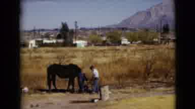 Clarksdale Arizona USA (1968): Young Man Cares For His Horse With Mountains In The