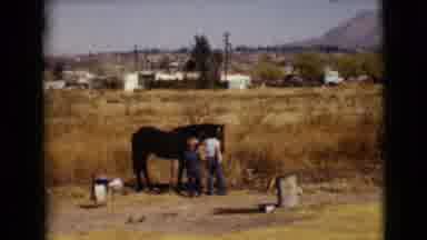 Clarksdale Arizona USA (1968): Two Young Boys Pet Or Brush The Horse As Mother In
