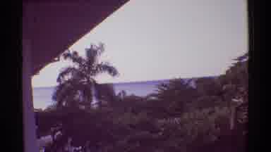 Mauna Ulu Hawaii (1971): A View Of The Lake And The Forest