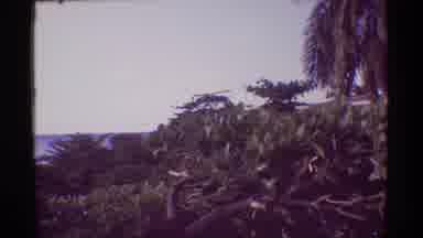 Mauna Ulu Hawaii (1971): Palm Trees Near Ocean And Furniture Beside A Swimming