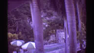 Mauna Ulu Hawaii (1971): Indistinct Area With Trees A Unknown Building And Area