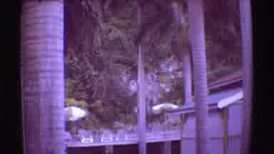 Mauna Ulu Hawaii (1971): External Video Of The Front And Decking Area Of A Large