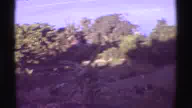 Mauna Ulu Hawaii (1971): View Of The Sea From The Hill Where You Can See All The